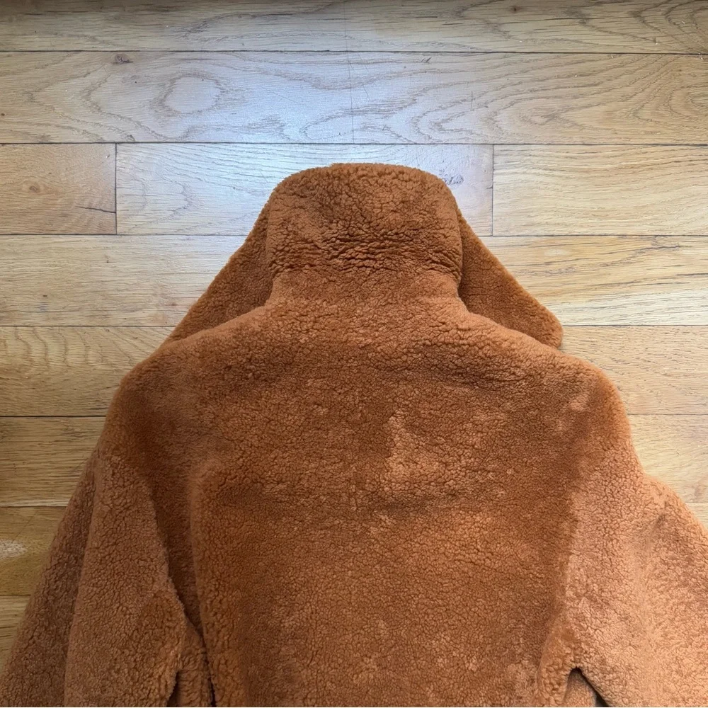 NWT The Arrivals + Liz Perez ‘Kala’ shearling teddy coat, rust (size: XS) - Picture 9 of 12